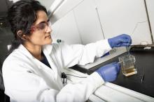 Postdoctoral scholar Anuja Tripathi examines a small sample of stainless steel after an electrochemical etching process she designed to create nano-scale needle-like structures on its surface. A second process deposits copper ions on the surface to create a dual antibacterial material. (Photo: Candler Hobbs)